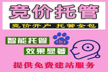 SEM竞价托管实战案例：数据分析
